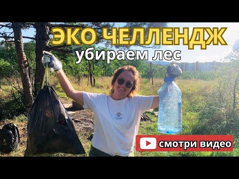 Видео: «Мы убрали мусор в лесу 🌲 | Семейный эко-челлендж»