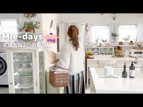 Видео: Живем с парой и тремя кошками. Рецепты французских тостов и вкусного ужина | влог