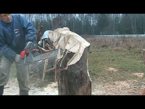 Видео: Пила окупилась. Как я это понимаю.