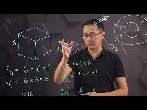Видео: Влияние соотношения площади поверхности к объему на скорость диффузии. 10 класс.
