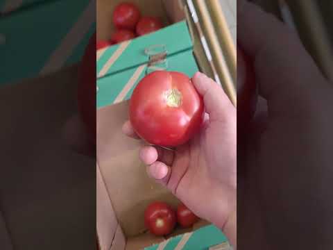 Видео: Овощи Магадана #fruit