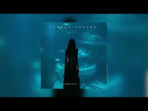 Видео: Эндшпиль — 10 | slowed + reverb |