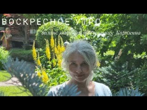 Видео: Воскресное утро. Баланс энергий и треугольник Карпмана