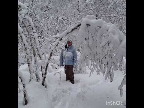 Видео: прогулка по Семибратке 9.11.2025 #mountains #snow