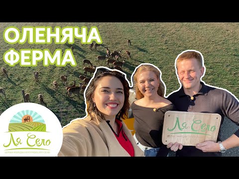 Видео: Перша ферма благородного оленя - ФГ "Аміла" (Радовичі) [ЧАСТИНА 2]