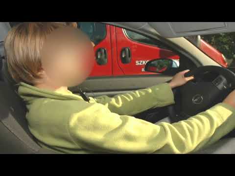 Видео: (27) Использование телефона во время движения. ПДД в Польше.