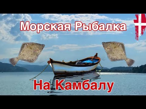 Видео: РЫБАЛКА НА КАМБАЛУ С ЛОДКИ / БАЛТИЙСКОЕ ПОБЕРЕЖЬЕ ДАНИИ