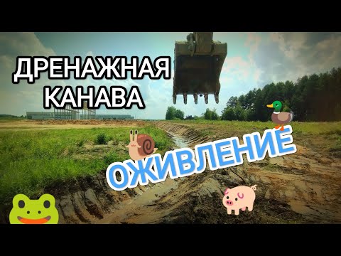 Видео: Очистка дренажной траншеи. Работа на экскаваторе. Таймлапс.