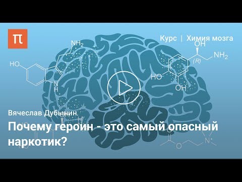 Видео: Эндорфины — Вячеслав Дубынин