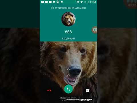 Видео: мне написал какой-то п******