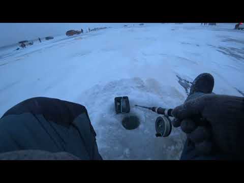 Видео: Спирино.  Зимний судак.  Открытие сезона 22 - 23 гг