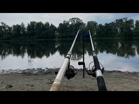 Видео: РИБАЛКА НА ЖИВЦЯ С БЕРЕГА#рибалка #живец #СОМ#щука#судак