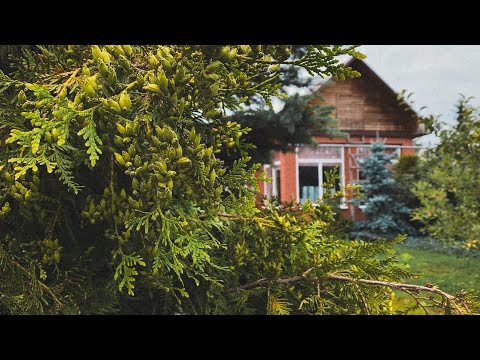 Видео: ЛАМПОВОЕ ЛЕТО - ЭПИЗОД 2