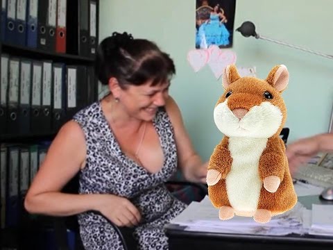 Видео: Говорящий хомяк! Лучшие видео баяны! Видео подборка! Купить говорящего хомяка!