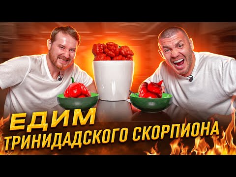 Видео: ЕДИМ ТРИНИДАДСКОГО СКОРПИОНА!!! | Бизнес интервью