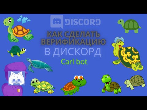 Видео: 🐢Как сделать верификацию в Discord с помощью Carl bot