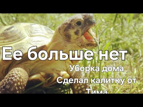 Видео: Влог затопило Минск 😊 щедрые соседи