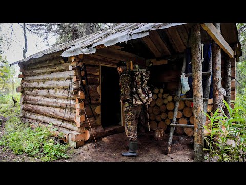 Видео: ПОСЛЕ ЭТОГО ИЗБА СТАЛА В 100 РАЗ УЮТНЕЕ. ОХОТА У БЛИЖНЕЙ ИЗБЫ.