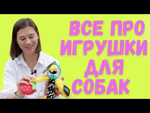 Видео: Обзор игрушек для собак, что нравится собакам больше всего, как правильно играть с собакой