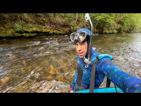 Видео: 4 дня сноркелинга на реке Аппалачи в поисках гигантских саламандр