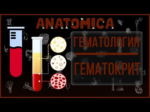 Видео: Гематокрит / Форменные элементы крови (эритроциты, лейкоциты, тромбоциты) и плазма / Гематология