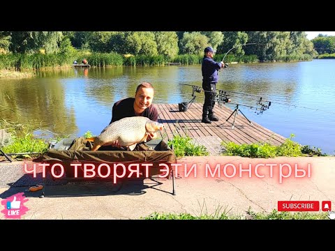 Видео: ОГРОМНЫЕ КАРПЫ СГИБАЮТ УДОЧКИ В ДУГУ И РАЗГИБАЮТ КРЮЧКИ #рыбалка #ловимрыбу #рыбалка2022 #карп