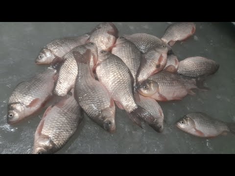 Видео: КАПРИЗНЫЙ КАРАСЬ... Всё-таки Я ЕГО УГОВОРИЛ. Зимняя рыбалка на карася