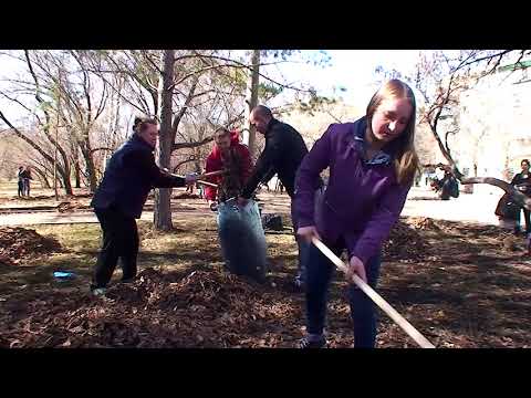 Видео: Школа №33, эпизод "Все на субботник". Выпускники 2017