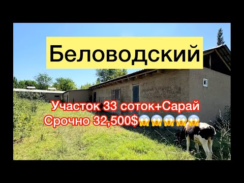 Видео: Беловодскийден сарай сатылат срочно арзан баада