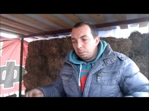 Видео: Содержание кроликов в вольерах - первая партия мяса! // Переезд в деревню!