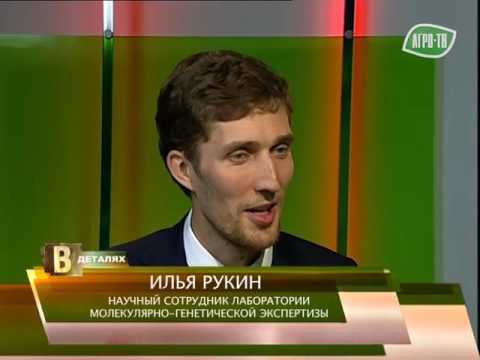 Видео: Геномная селекция. Рукин Илья.