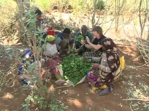 Видео: Мир Наизнанку. Африка. 12 выпуск. Эфиопия.