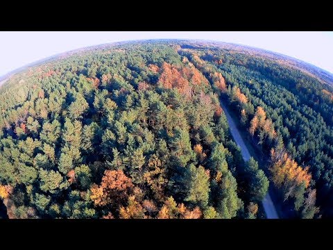 Видео: Магерівський лісгосп. Аерозйомка з висоти 300 метрів