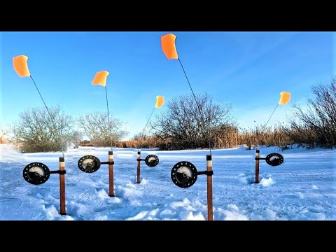 Видео: ЖЕРЛИЦЫ 2022!!! ПОПАЛ НА ТРОПУ ГОЛОДНЫХ ЩУК! ПЕРВЫЙ ЛЕД 2022-23 УСПЕШНО ОТКРЫТ! Подводные съемки.