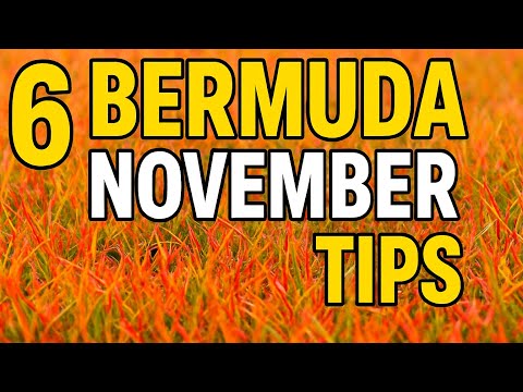 Видео: Эти советы гарантируют получение более качественной бермудской травы в следующем сезоне.