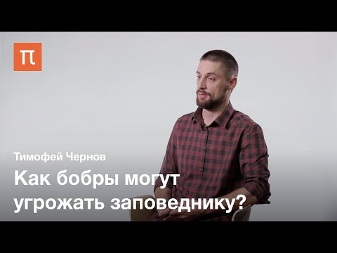 Видео: Размывание понятия «экология» — Тимофей Чернов