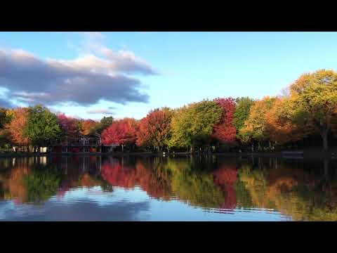 Видео: МИГ ОКТЯБРЯ