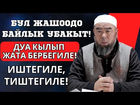 Видео: БУЛ ЖАШООДО БАЙЛЫК УБАКЫТ! ИШТЕГИЛЕ, ТИШТЕГИЛЕ!