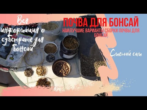 Видео: Почва для бонсай. Советы по выбору грунтовых смесей для выращивания бонсай