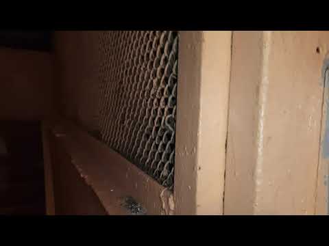 Видео: Лифт МЛЗ в сетчатой шахте 320 кг 0,71 м/с, открыли лифт вручную, телефон против лифта