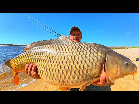 Видео: ЖИРНІ РИЖІ ПОРОСЯТА та ЛЯЩІ ВІДКРИВАЮТЬ ФІДЕР НА ДНІПРІ