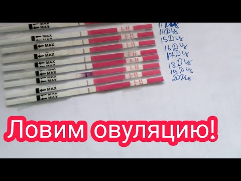 Видео: Первый Раз Делаю ТЕСТ На ОВУЛЯЦИЮ ||  Нужна Помощь || Дневник Планирования ||  Попытка #3