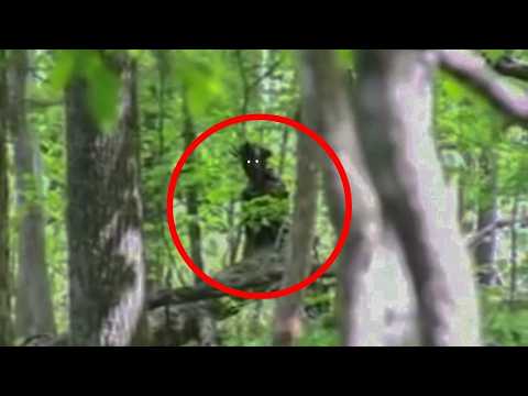 Видео: Лесной Монстр Преследует Охотника: Это Реально! Taiga Horror