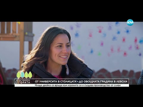 Видео: Да хванеш гората (26.01.2025)