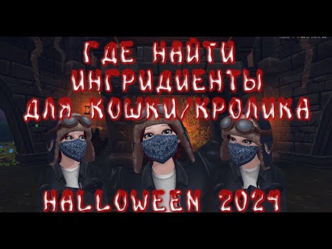 Видео: ГДЕ НАЙТИ ИНГРИДИЕНТЫ ДЛЯ КОШКИ/КРОЛИКА|SSO HALLOWEEN 2024