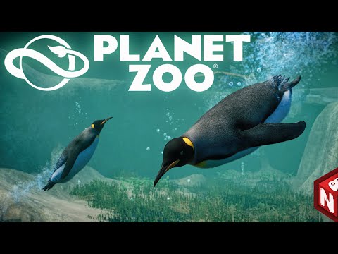 Видео: Planet Zoo: Aquatic Pack - Смотрим дополнение! 🔴