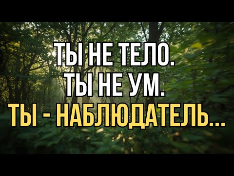 Видео: Ты не тело. Ты не ум. Ты — наблюдатель