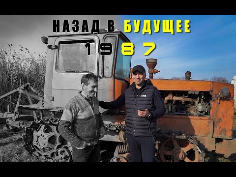 Видео: Интервью с Зауром Озовым:всё о выращивании клубники,о рассаде и о жизни бизнесмена клубничника
