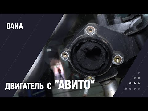 Видео: Двигатель D4HA с "Авито"