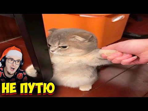 Видео: ЗАСМЕЯЛСЯ - ПРОИГРАЛ ► ЛУЧШИЕ ПРИКОЛЫ ( УЛЫБНУЛИСЬ ПРОИГРАЛИ СМЕХОТЕНЬ ) | Реакция